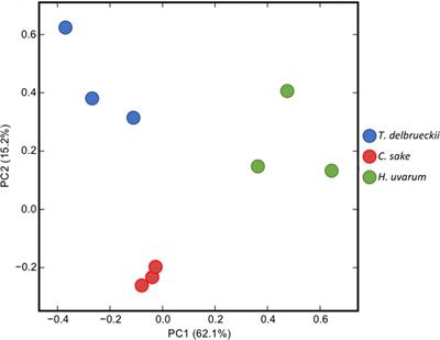 Different Non-Saccharomyces Yeast Species Stimulate Nutrient Consumption in S. cerevisiae Mixed Cultures